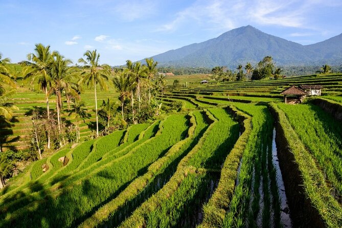 Sangeh Monkey Forest, Jatiluwih & Batukaru Temple Tour - The route needs one important confirmation
