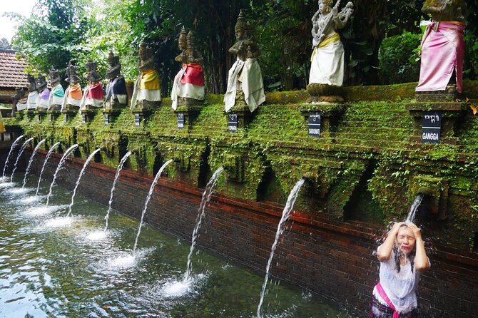 Sangeh Monkey Forest, Jatiluwih & Batukaru Temple Tour - What the private minivan adds