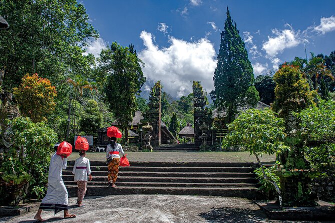 Sangeh Monkey Forest, Jatiluwih & Batukaru Temple Tour - Jatiluwih’s rice terraces are the scenic centerpiece