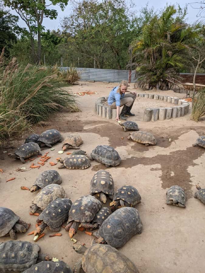 Santa Cruz: Wildlife Sanctuary and Preservation Park Tour - Key points to know before you go