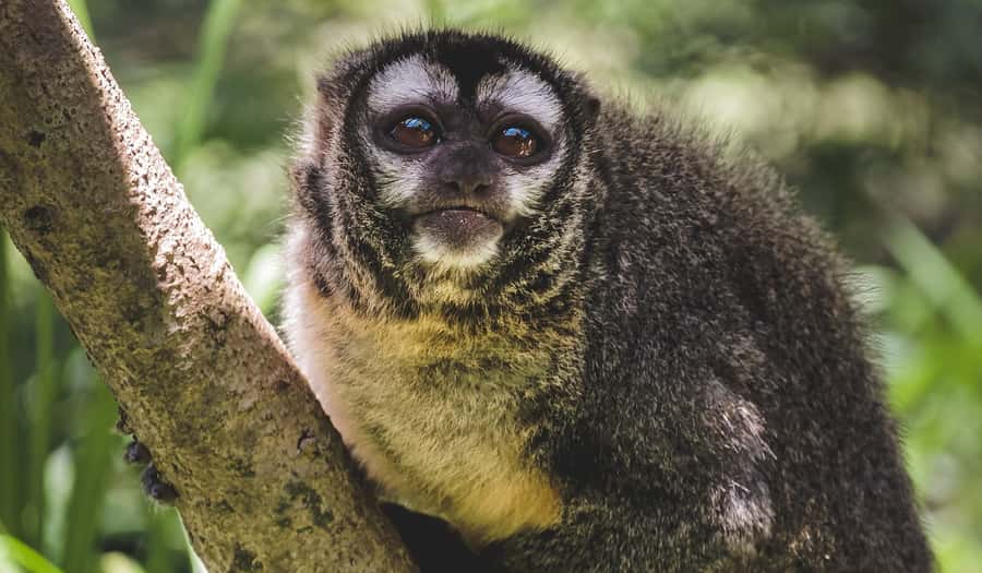 Santa Cruz: Wildlife Sanctuary and Preservation Park Tour - Transport, timing, and the practical side