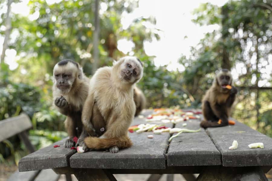 Santa Cruz: Wildlife Sanctuary and Preservation Park Tour - Who will enjoy this most?