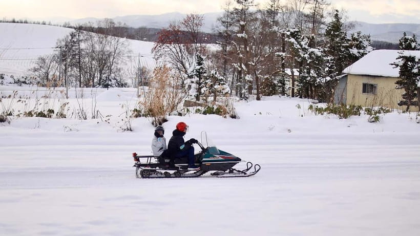 Sapporo Winter : Asahiyama Zoo (Penguin Fun & Snowmobile) - Shikisai-no-oka and the optional snowmobile ride