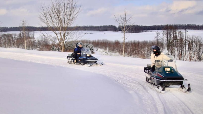 Sapporo Winter : Asahiyama Zoo (Penguin Fun & Snowmobile) - The Ken & Mary Tree photo stop
