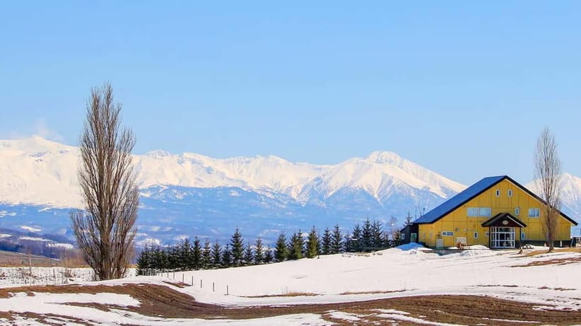 Sapporo Winter : Asahiyama Zoo (Penguin Fun & Snowmobile) - Who should book this Hokkaido day?