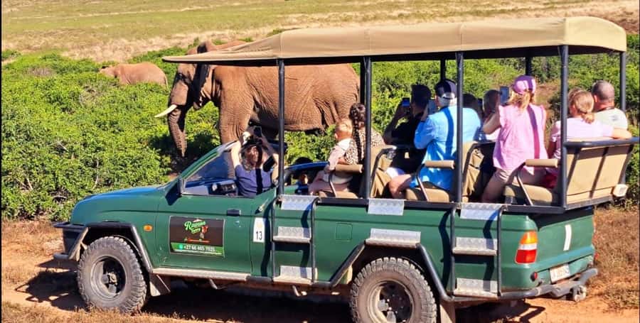 Schotia Safaris: Best Wildlife Encounters in Port Elizabeth - Key points at a glance