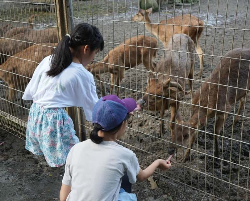 Selangor: Zoo Negara E-Ticket - Key points at a glance