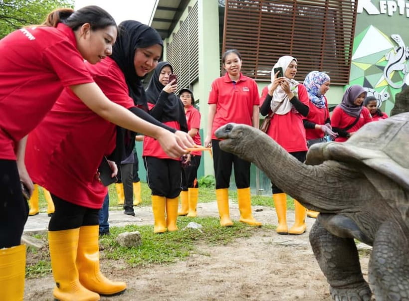 Selangor: Zoo Negara E-Ticket - Why the pandas are worth planning around