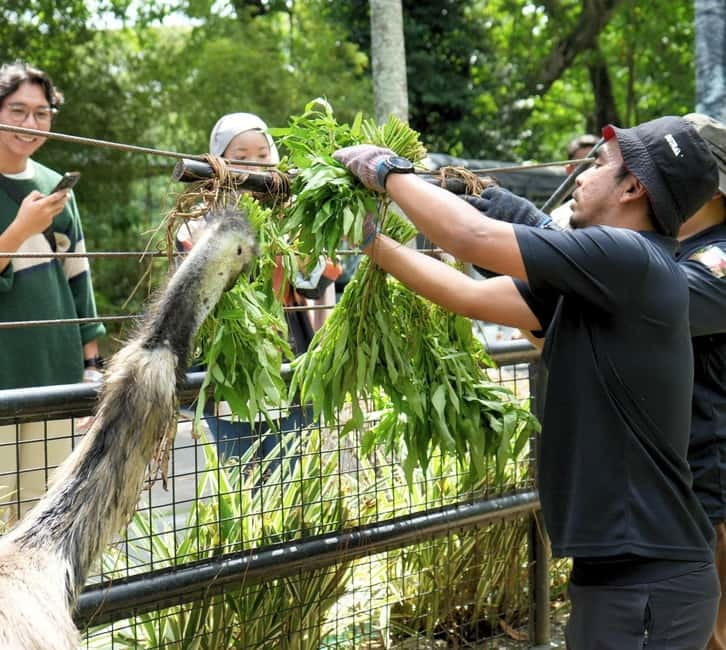 Selangor: Zoo Negara E-Ticket - A one-day route through Zoo Negara