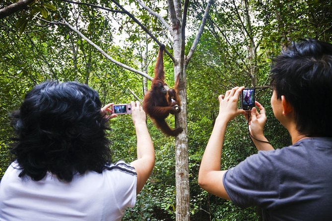 Semenggoh Wildlife Centre: Orangutan Discovery from Kuching - Entering the Semenggoh Wildlife Centre