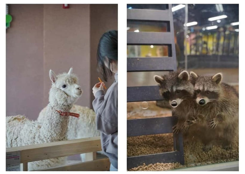 Seoul : Le Space Art Museum, Hanok, Inner Zoo (+Nanta Show) - Eunpyeong Hanok Village slows the day down