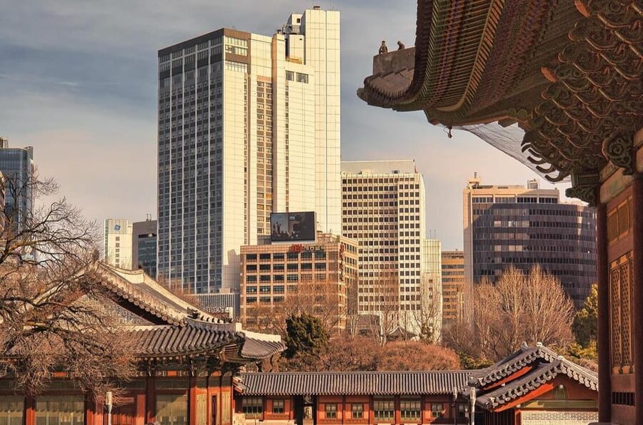 Seoul : Le Space Art Museum, Hanok, Inner Zoo (+Nanta Show) - Should you book this Seoul day tour?