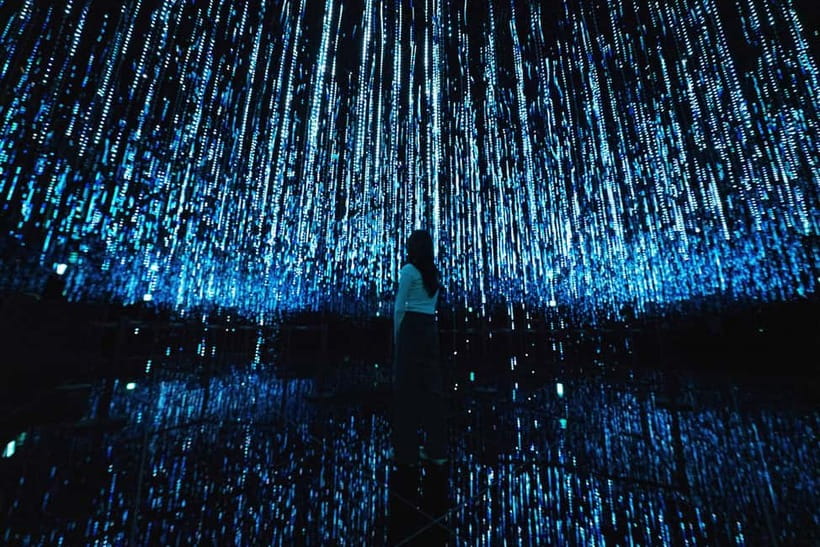 Seoul : Le Space Art Museum, Hanok, Inner Zoo (+Nanta Show) - Zoorarium brings alpacas and capybaras indoors