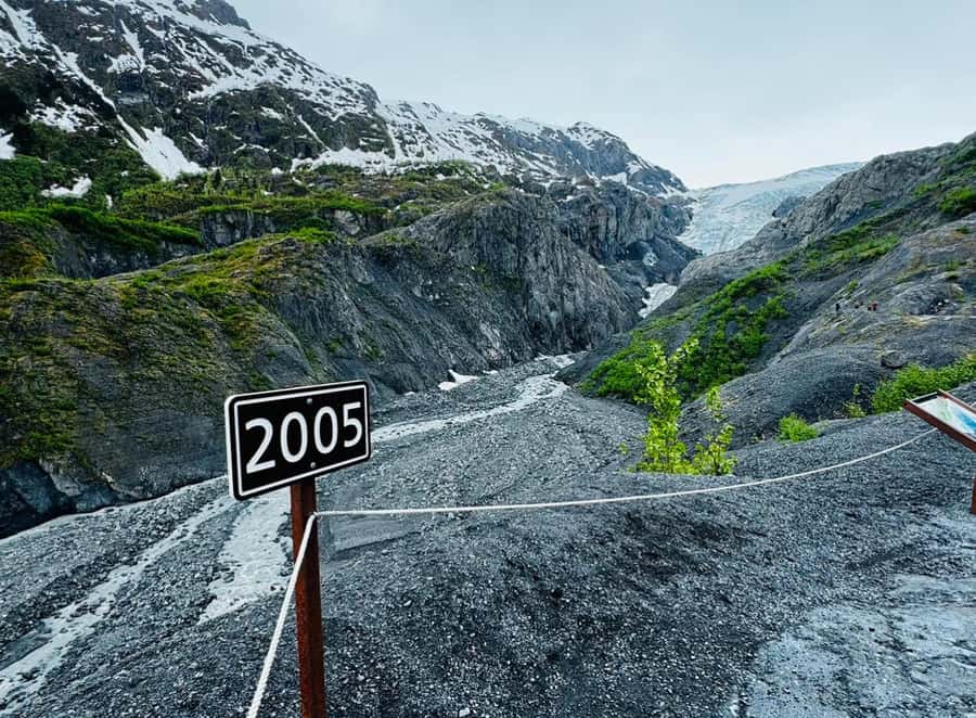 Seward: Transit Tour to Anchorage with Wildlife Center - Arriving in Anchorage without losing the day