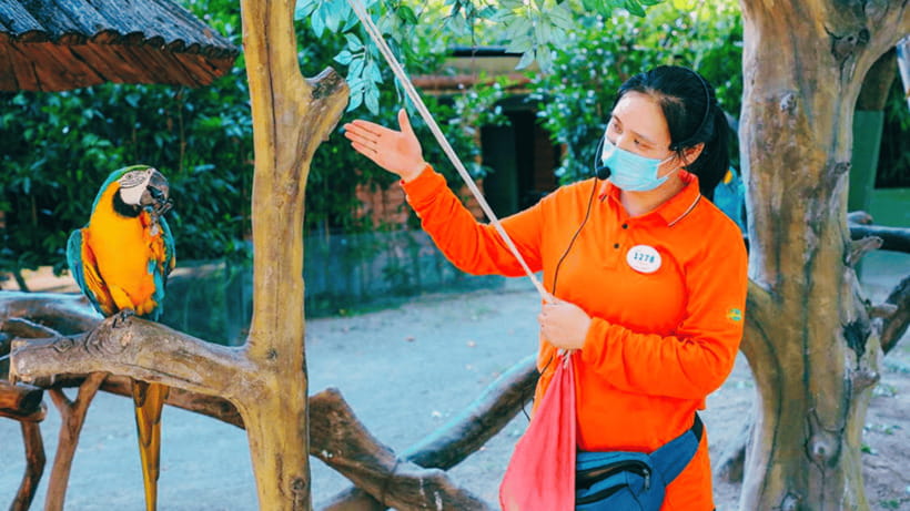 Shanghai: Wild Animal Park Ticket - How to build your day
