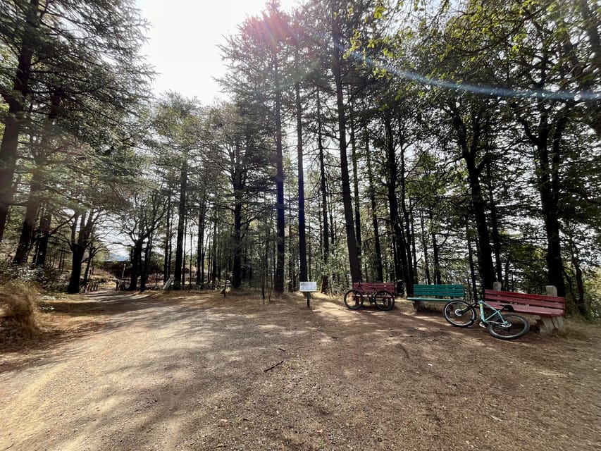 Shimla: Wildlife Sanctuary & Water Catchment Guided Tour - Key points to know before booking