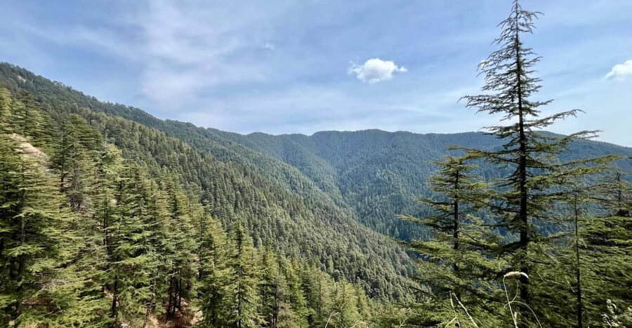 Shimla: Wildlife Sanctuary & Water Catchment Guided Tour - Entering Shimla’s protected water forest