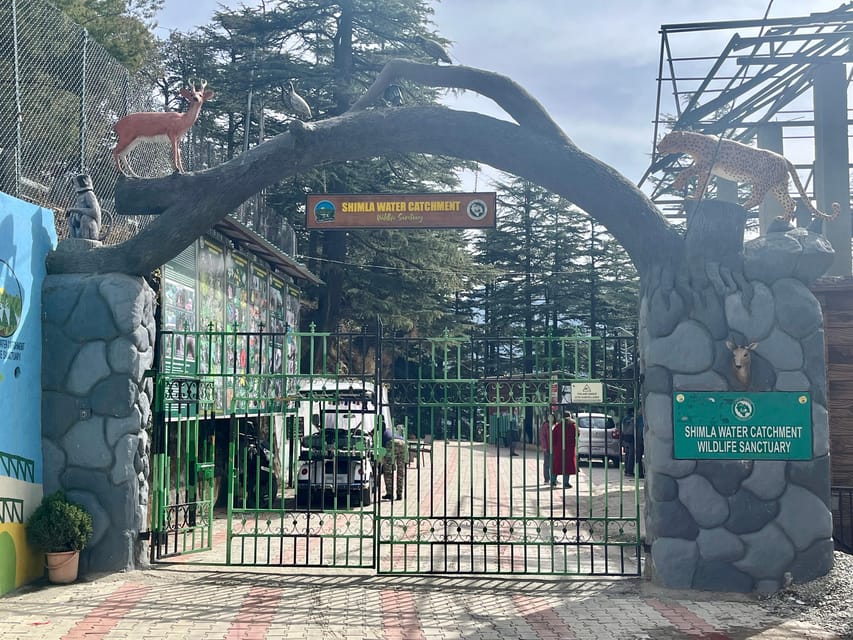 Shimla: Wildlife Sanctuary & Water Catchment Guided Tour - What the $26 price gets you