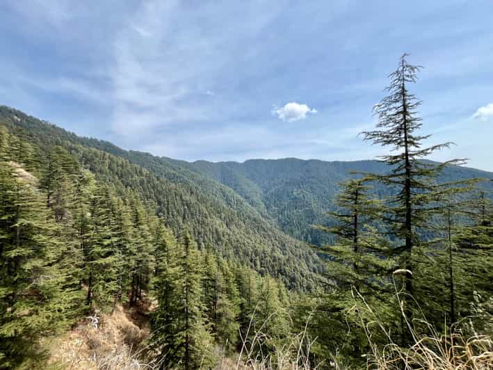 Shimla: Wildlife Sanctuary & Water Catchment Guided Tour - Wildlife expectations and the best seasons