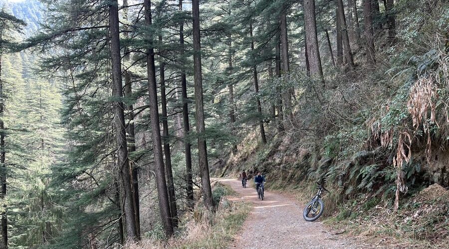 Shimla: Wildlife Sanctuary & Water Catchment Guided Tour - Who will enjoy this outing most