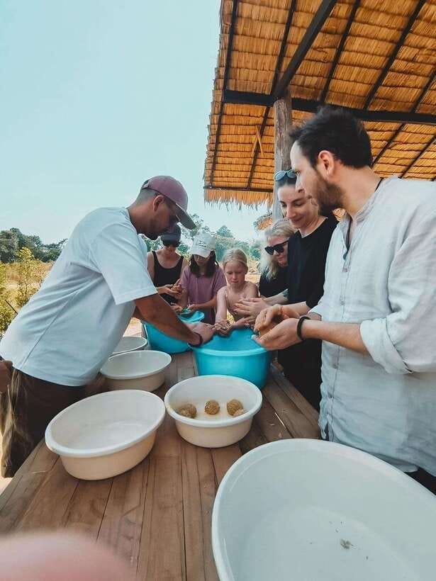 Siem Reap: Elephant Sanctuary Included Hotel Pickup Drop-off - Key points at a glance