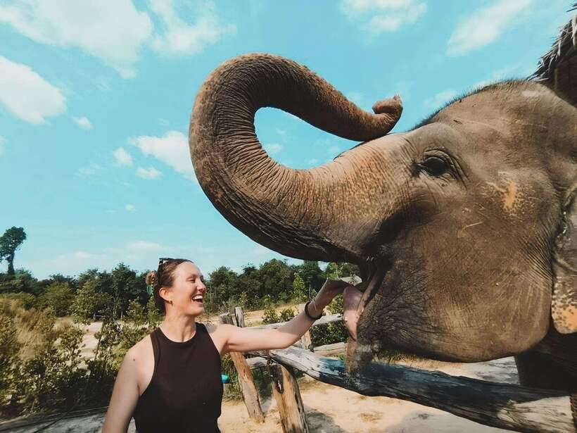 Siem Reap: Elephant Sanctuary Included Hotel Pickup Drop-off - What the four-hour visit is really like