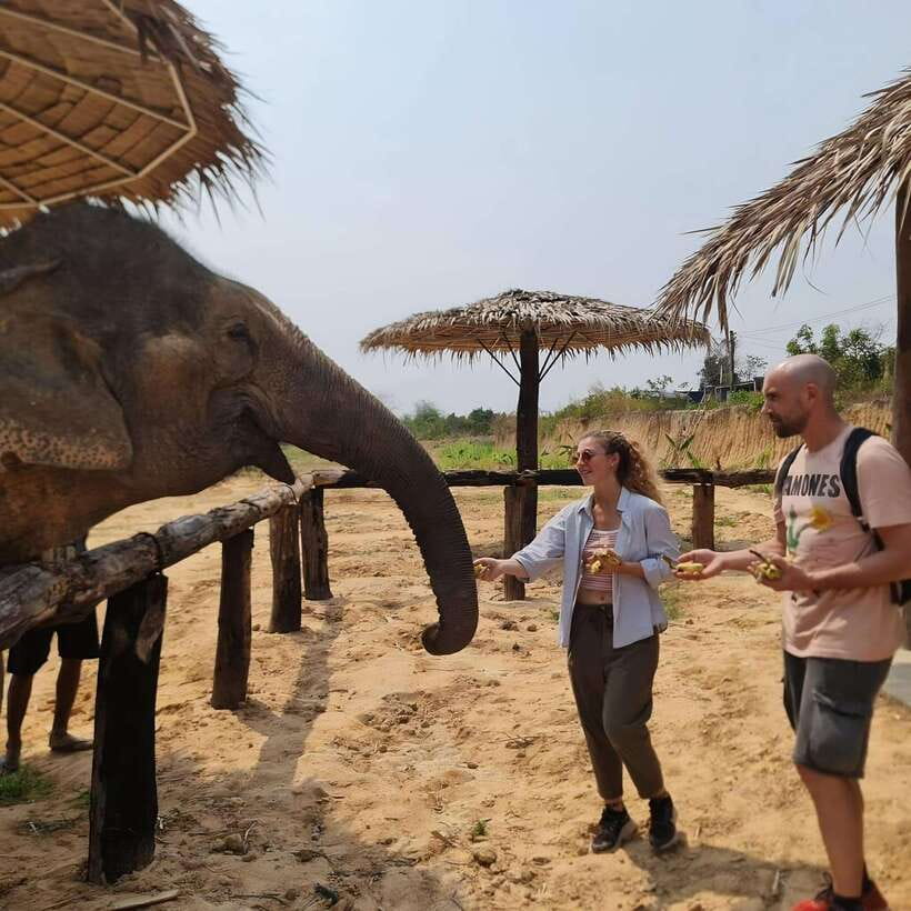 Siem Reap: Elephant Sanctuary Included Hotel Pickup Drop-off - The mud bath with the elephants