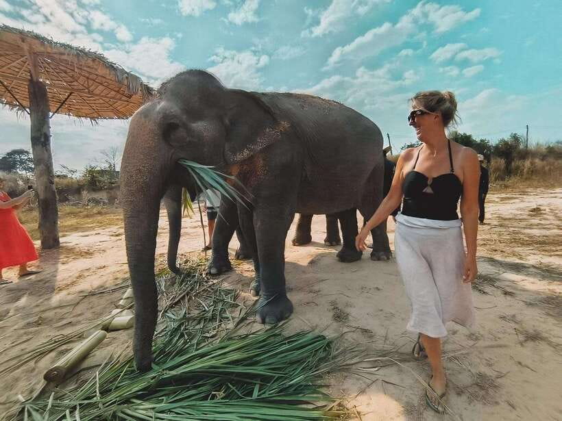 Siem Reap: Elephant Sanctuary Included Hotel Pickup Drop-off - Washing the elephants afterward