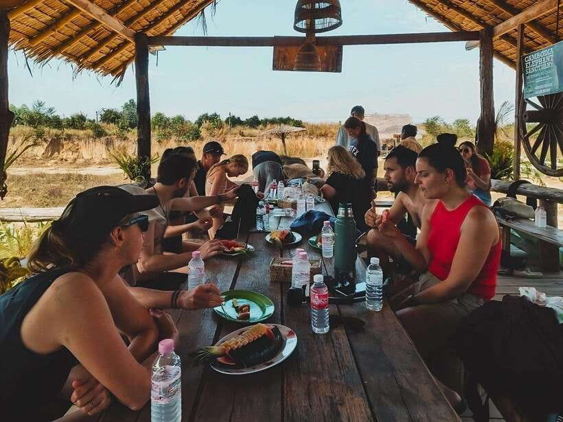 Siem Reap: Elephant Sanctuary Included Hotel Pickup Drop-off - Is $128 good value?