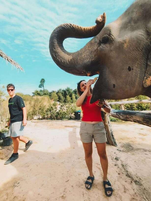 Siem Reap: Elephant Sanctuary Included Hotel Pickup Drop-off - Choosing morning or afternoon
