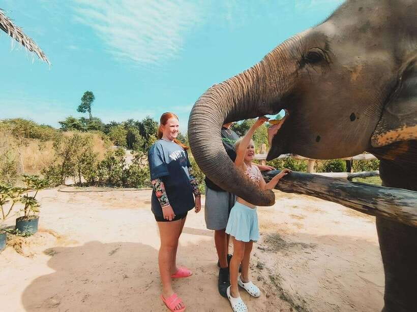 Siem Reap: Elephant Sanctuary Included Hotel Pickup Drop-off - Preparing meals for the elephants