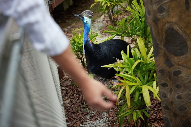 Singapore 3 Park Explorer Pass: Zoo, River Wonders, Bird Paradise - Can you really visit all three parks in one day?