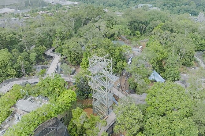 Singapore 3 Park Explorer Pass: Zoo, River Wonders, Bird Paradise - Price, ticket reliability, and the risk of rushing