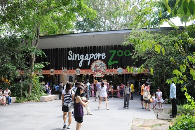 Singapore Bird Paradise & Zoo Full Day (Ticket & Transfer ) - The bird park stop needs a name check