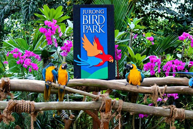 Singapore Bird Paradise & Zoo Full Day (Ticket & Transfer ) - How the two parks work together