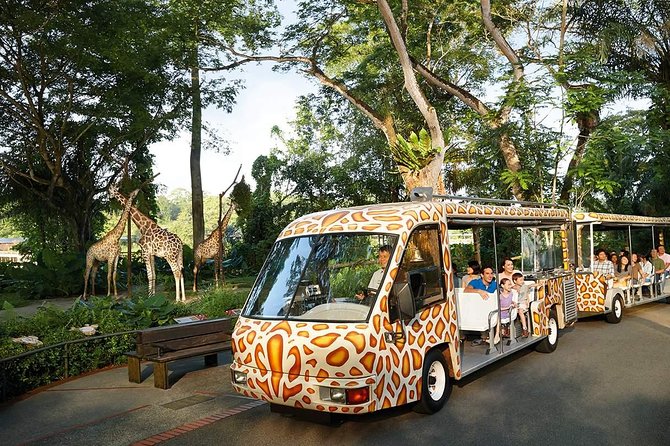 Singapore Bird Paradise & Zoo Full Day (Ticket & Transfer ) - Private transfer, group size, and the real value