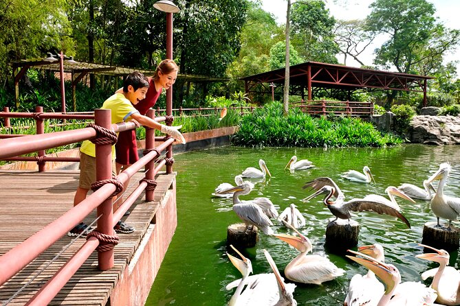 Singapore Bird Paradise & Zoo Full Day (Ticket & Transfer ) - Should you book it?