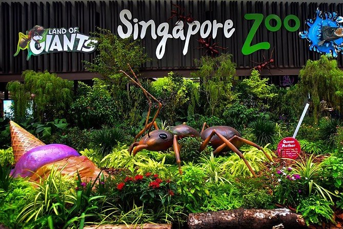 Singapore Bird Paradise & Zoo Full Day (Ticket & Transfer ) - What the zoo tram adds to the day