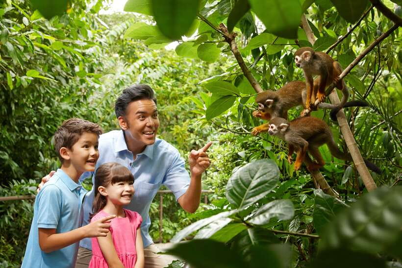 Singapore Zoo: 1-Day Entrance E-Ticket - Key points to know before you go