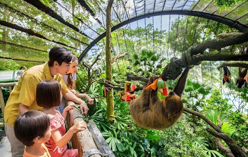 Singapore Zoo: 1-Day Entrance E-Ticket - Why Singapore Zoo feels different from a typical city zoo
