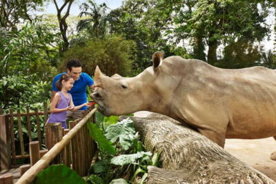 Singapore Zoo: 1-Day Entrance E-Ticket