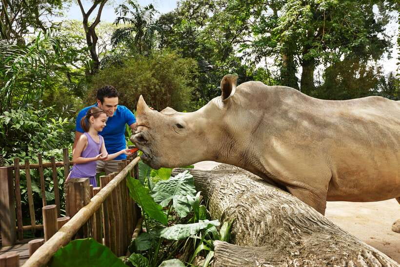 Singapore Zoo: 1-Day Entrance E-Ticket - Orangutans, monkeys, and the most memorable animal areas