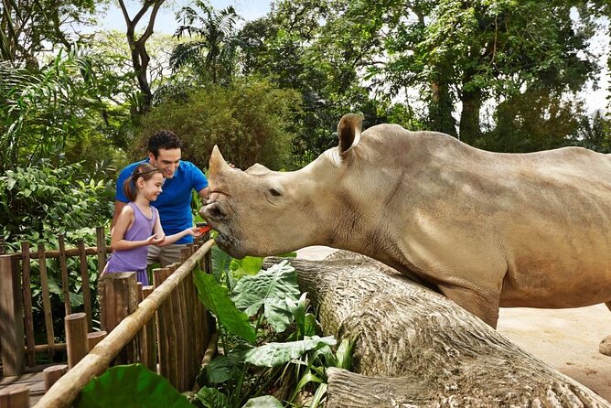 Singapore Zoo - Timing your visit around the 5pm close