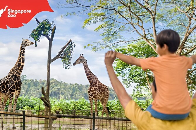 Singapore Zoo Entry Ticket - Keeper talks, feeding sessions, and animal shows