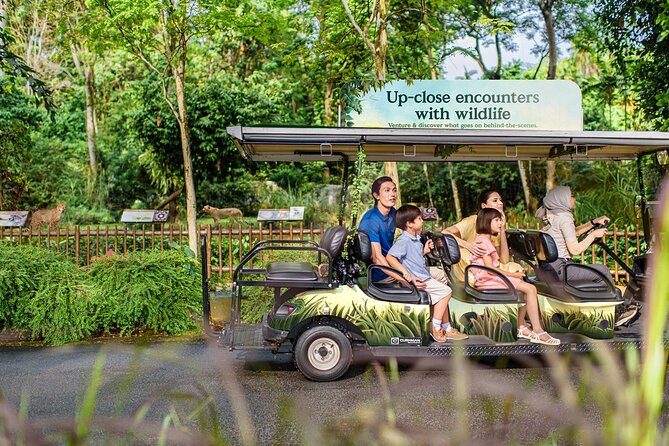 Singapore Zoo Entry Ticket - Family activities beyond animal enclosures