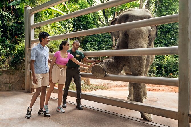 Singapore Zoo Entry Ticket - Getting to Mandai Wildlife East