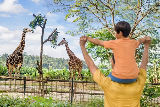 Singapore Zoo Entry Ticket - What you can see on the main visit