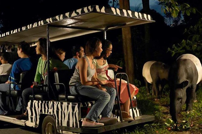 Singapore Zoo & Night Safari Day ( Tickets & Transfer ) - Shows, fire performances, and scheduling