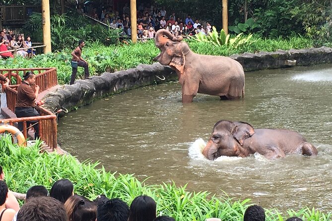 Singapore Zoo & Night Safari Day ( Tickets & Transfer ) - What the $141.64 price really covers