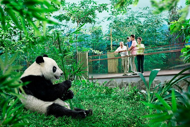 Singapore Zoo & Night Safari Day ( Tickets & Transfer ) - The one-way transfer question